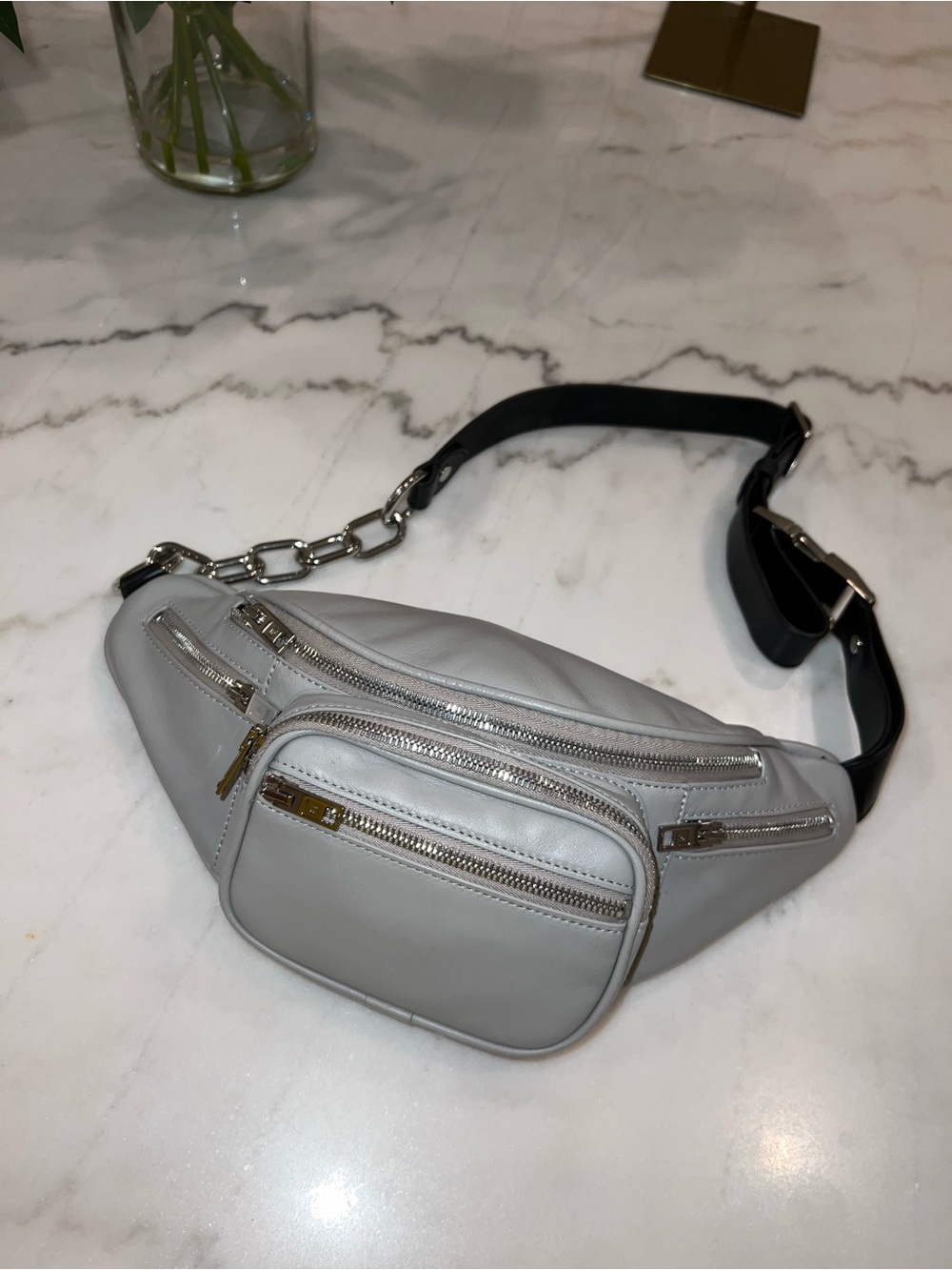 Extremely Rare Alexander Wang Attica Fanny Pack - Dove